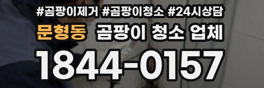 문형동 곰팡이 청소 업체