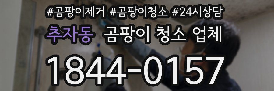 추자동 곰팡이 청소 업체