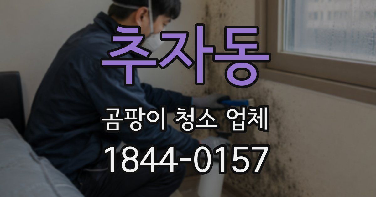 추자동 곰팡이 청소 업체