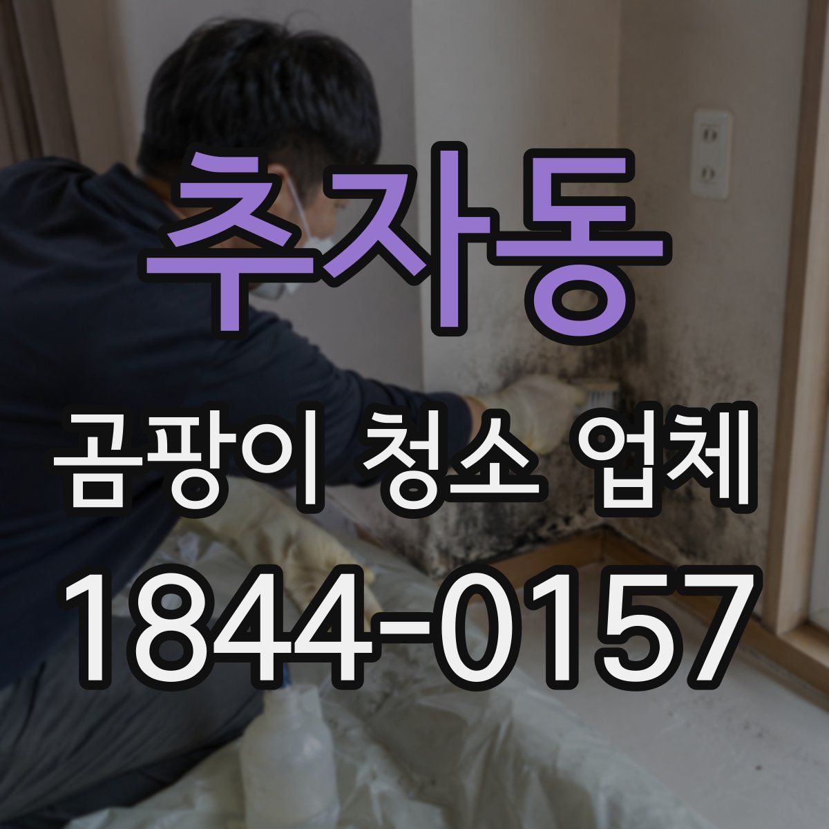 추자동 곰팡이 청소 업체