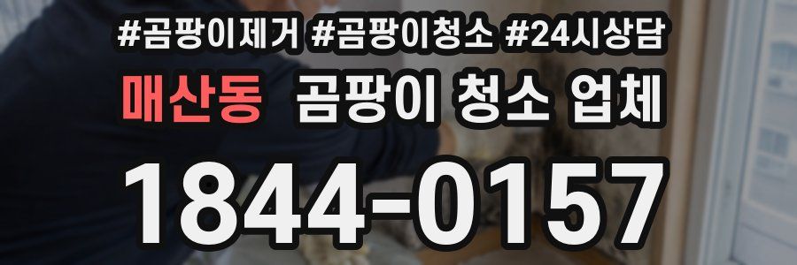 매산동 곰팡이 청소 업체