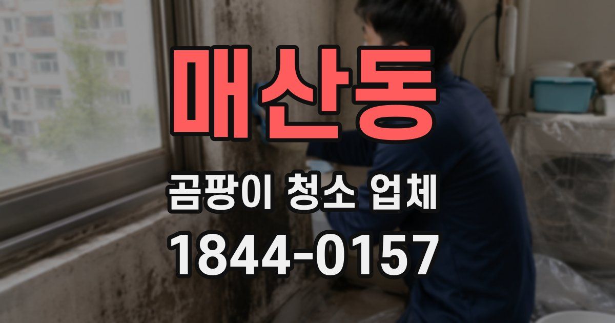 매산동 곰팡이 청소 업체