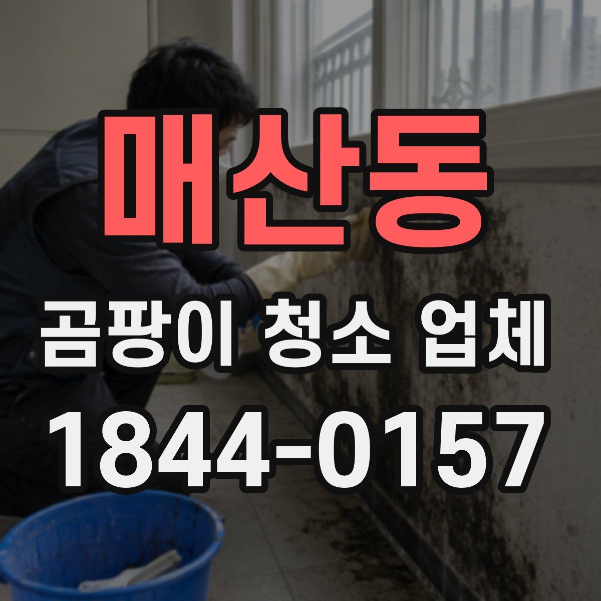 매산동 곰팡이 청소 업체