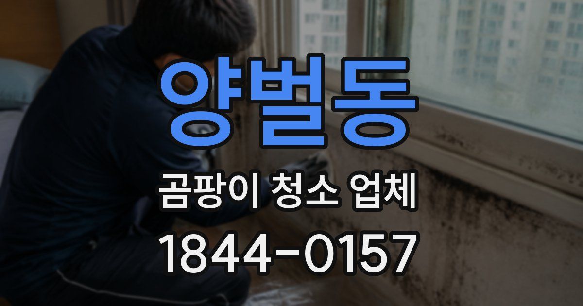 양벌동 곰팡이 청소 업체