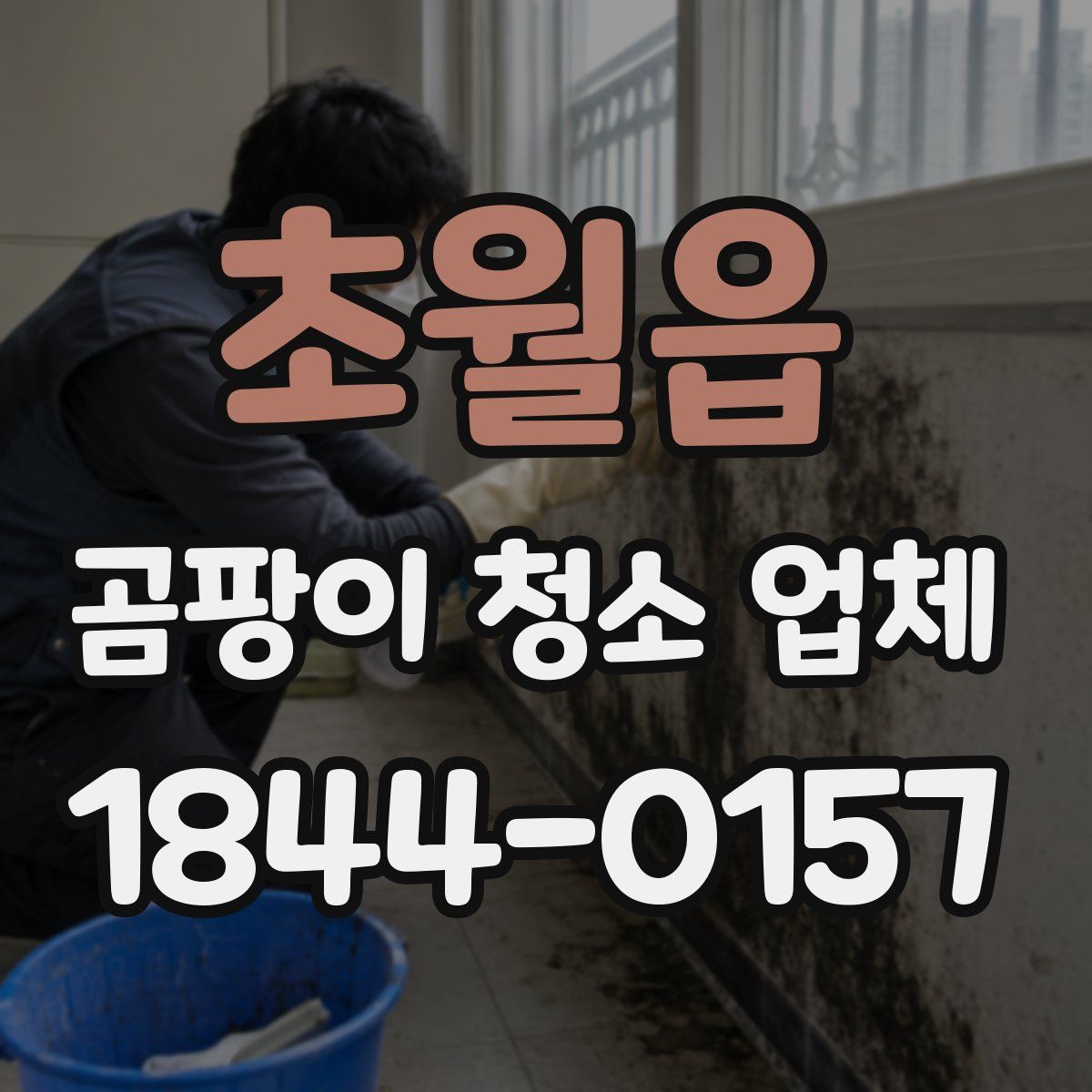 초월읍 곰팡이 청소 업체