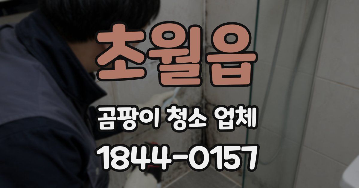 초월읍 곰팡이 청소 업체