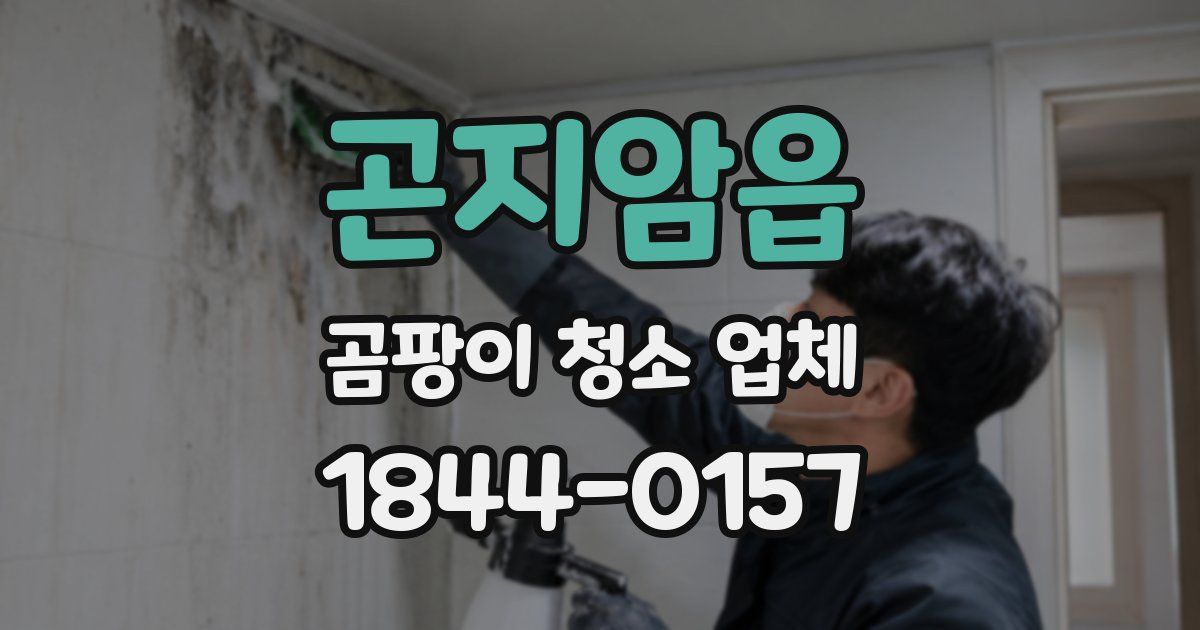 곤지암읍 곰팡이 청소 업체