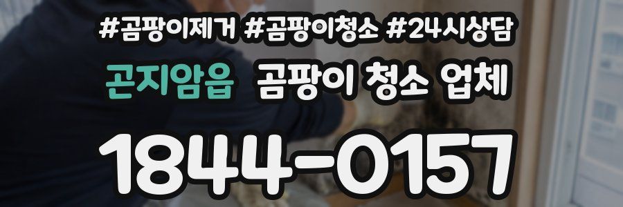 곤지암읍 곰팡이 청소 업체