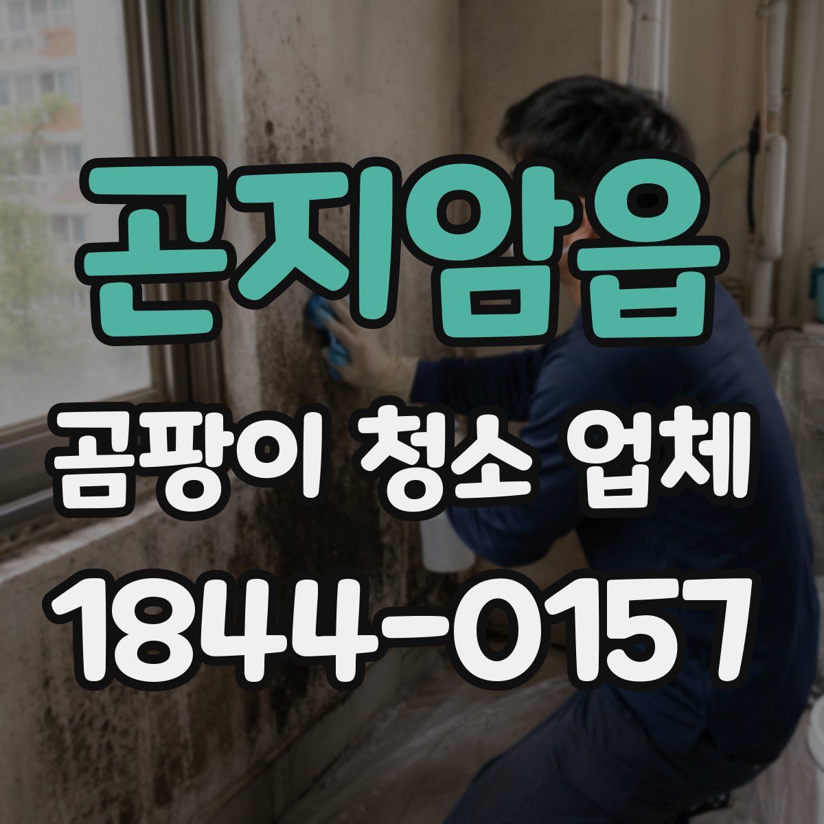 곤지암읍 곰팡이 청소 업체
