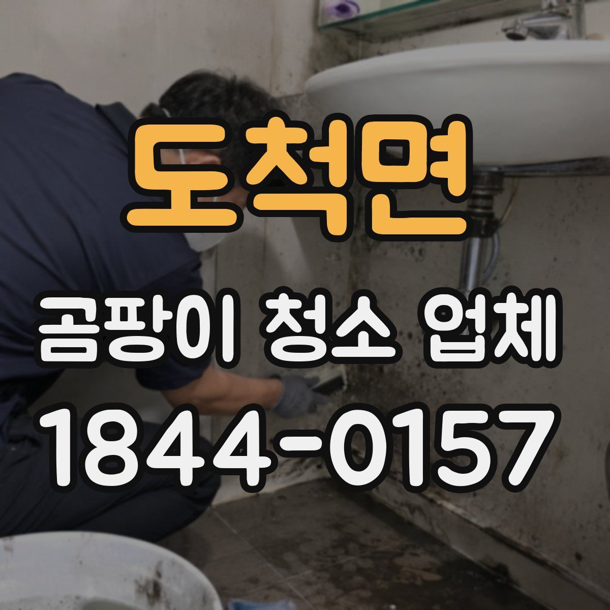 도척면 곰팡이 청소 업체