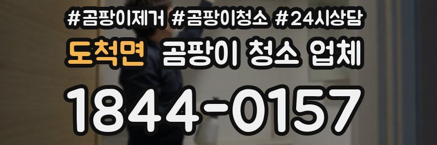 도척면 곰팡이 청소 업체