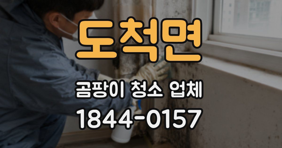 도척면 곰팡이 청소 업체