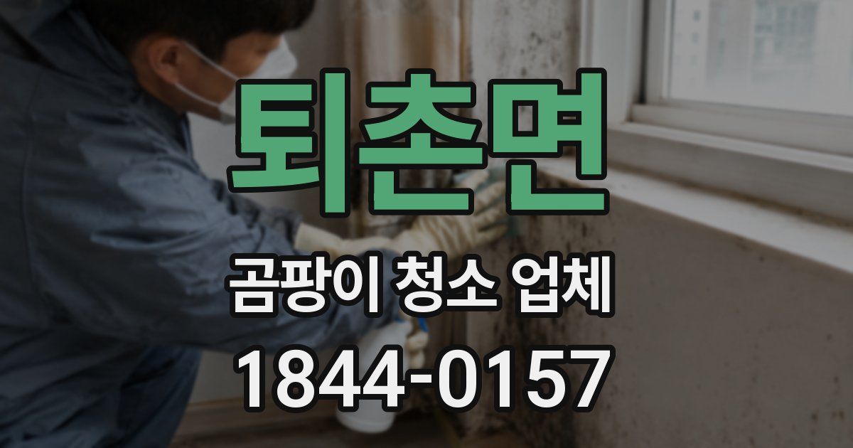 퇴촌면 곰팡이 청소 업체