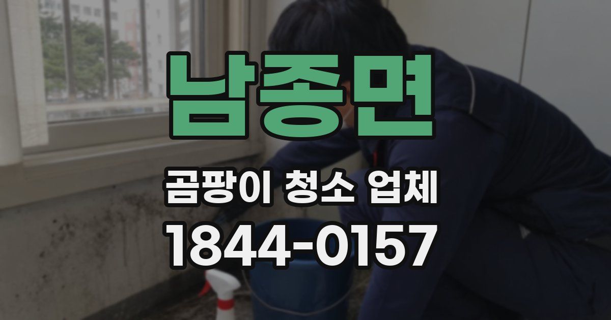 남종면 곰팡이 청소 업체