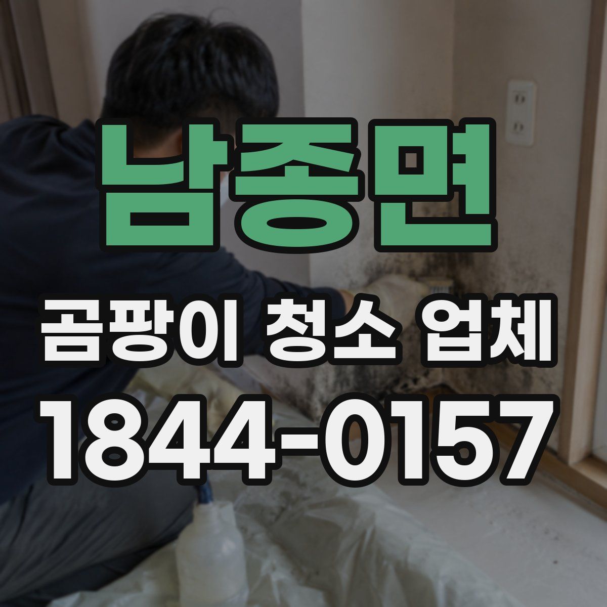 남종면 곰팡이 청소 업체