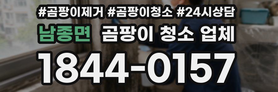 남종면 곰팡이 청소 업체