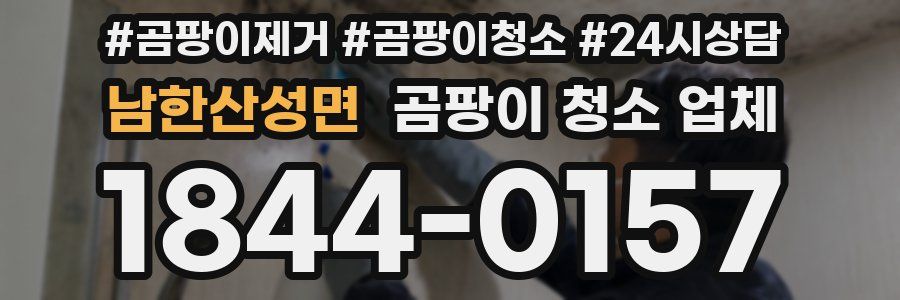 남한산성면 곰팡이 청소 업체