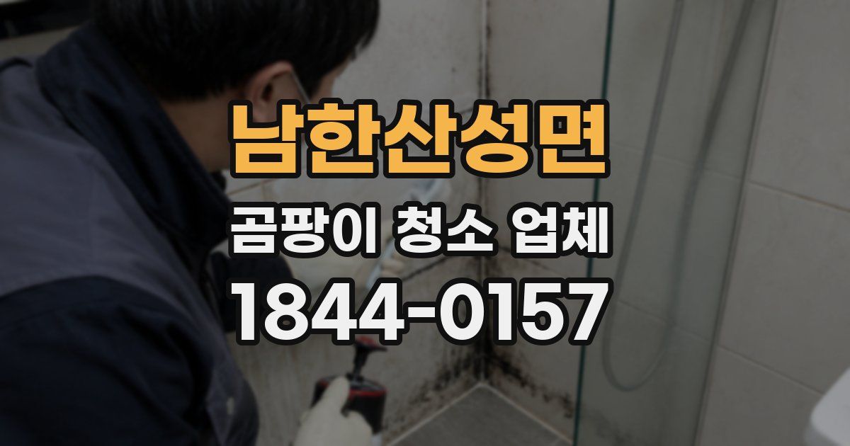 남한산성면 곰팡이 청소 업체