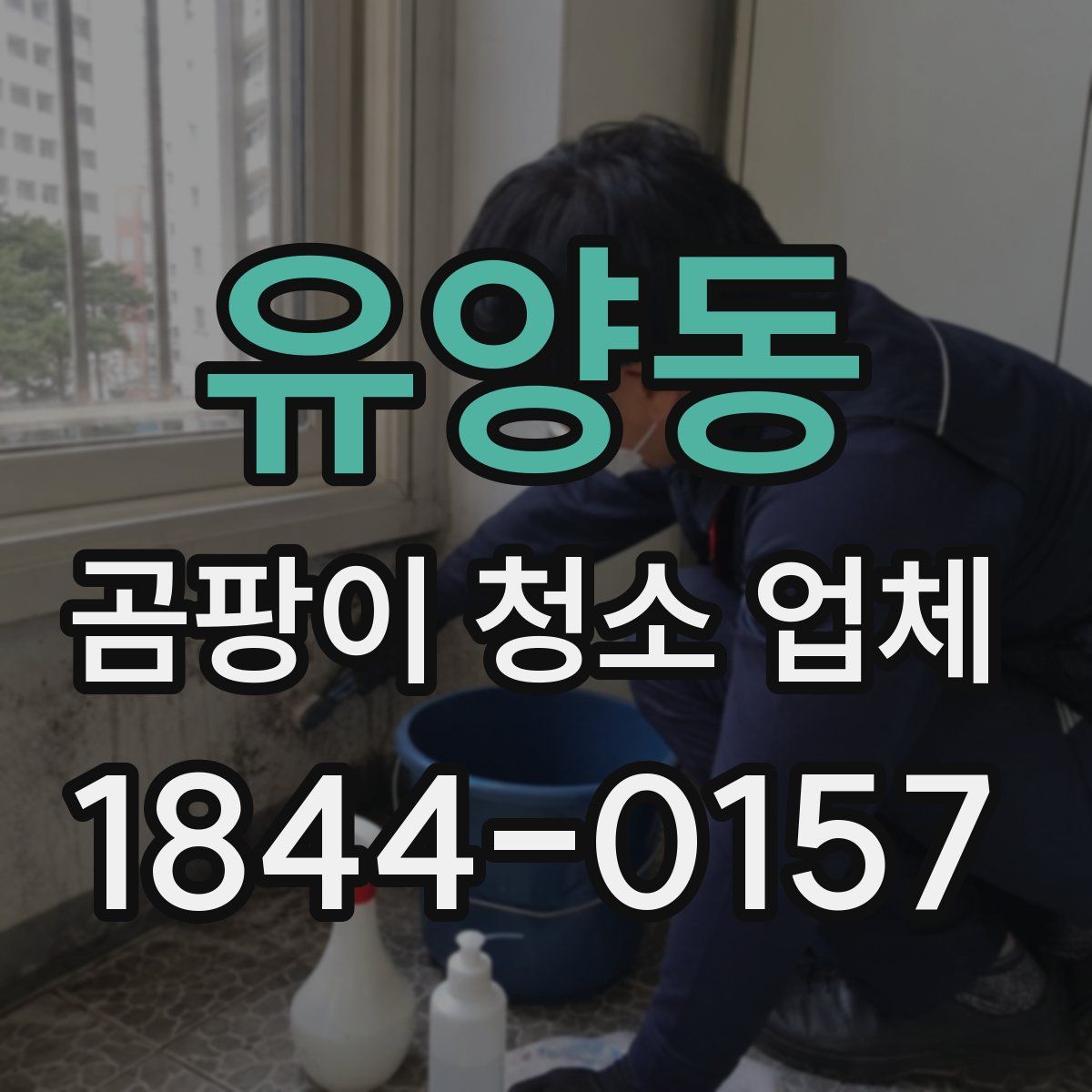 유양동 곰팡이 청소 업체