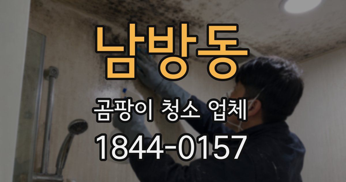 남방동 곰팡이 청소 업체