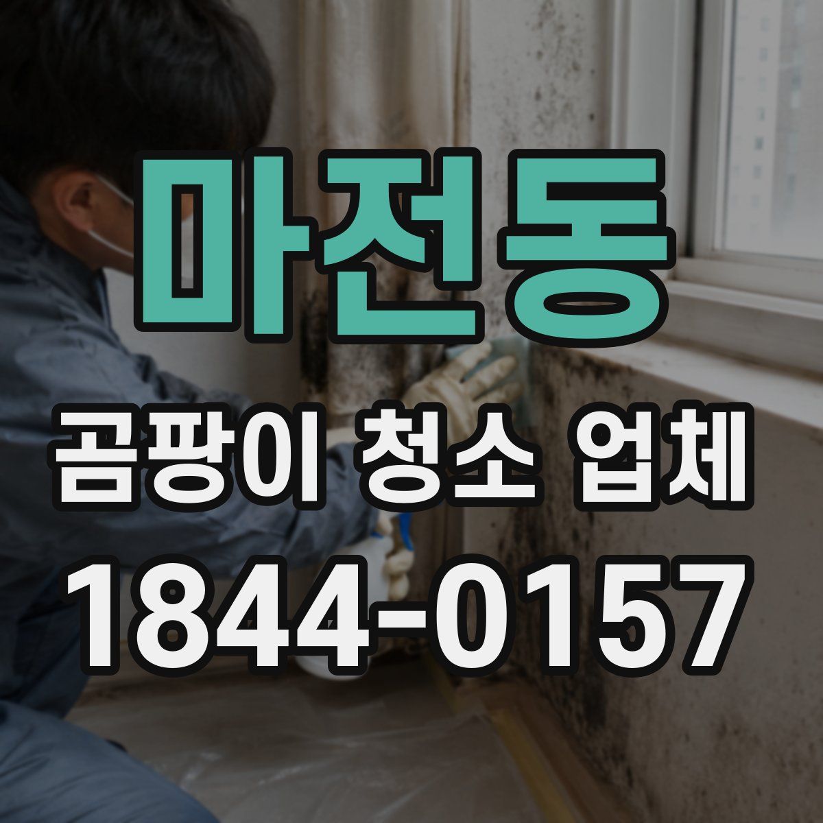마전동 곰팡이 청소 업체