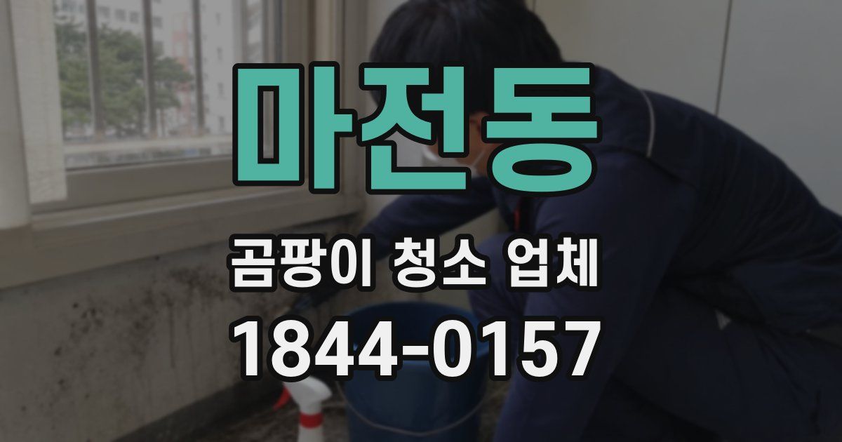 마전동 곰팡이 청소 업체