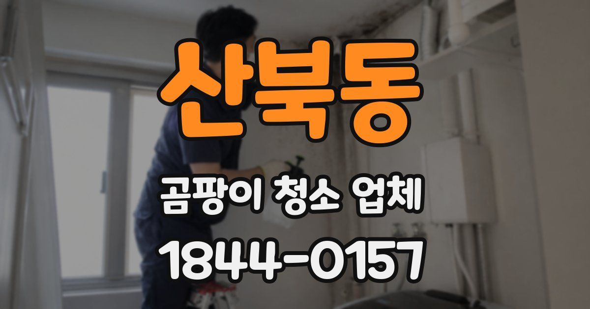 산북동 곰팡이 청소 업체