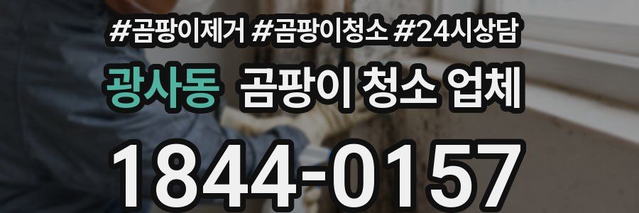 광사동 곰팡이 청소 업체