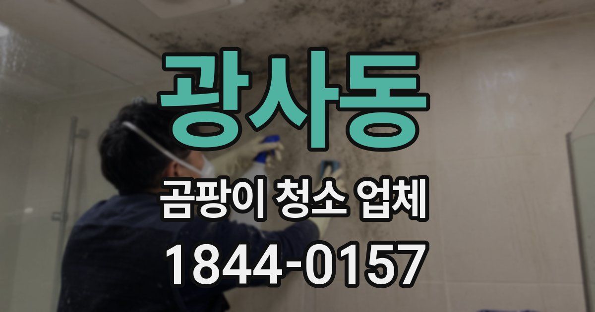 광사동 곰팡이 청소 업체