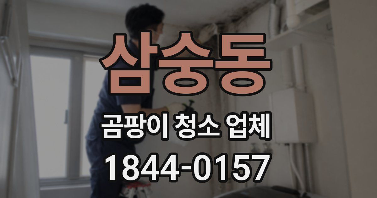 삼숭동 곰팡이 청소 업체