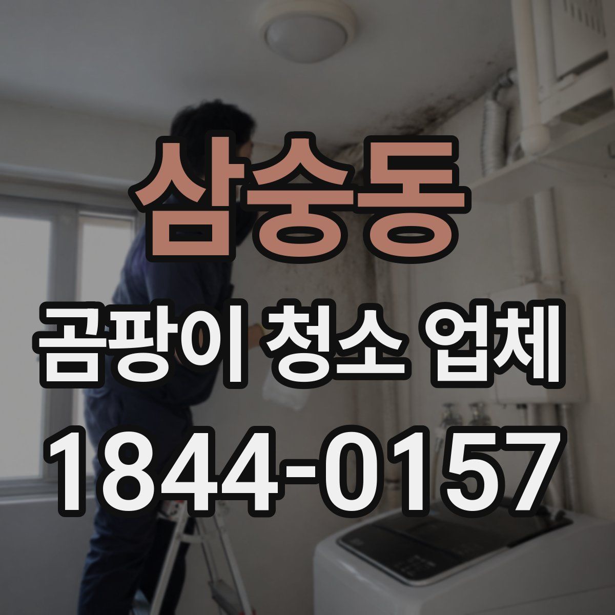 삼숭동 곰팡이 청소 업체