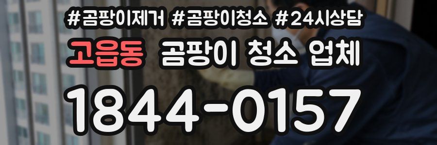 고읍동 곰팡이 청소 업체