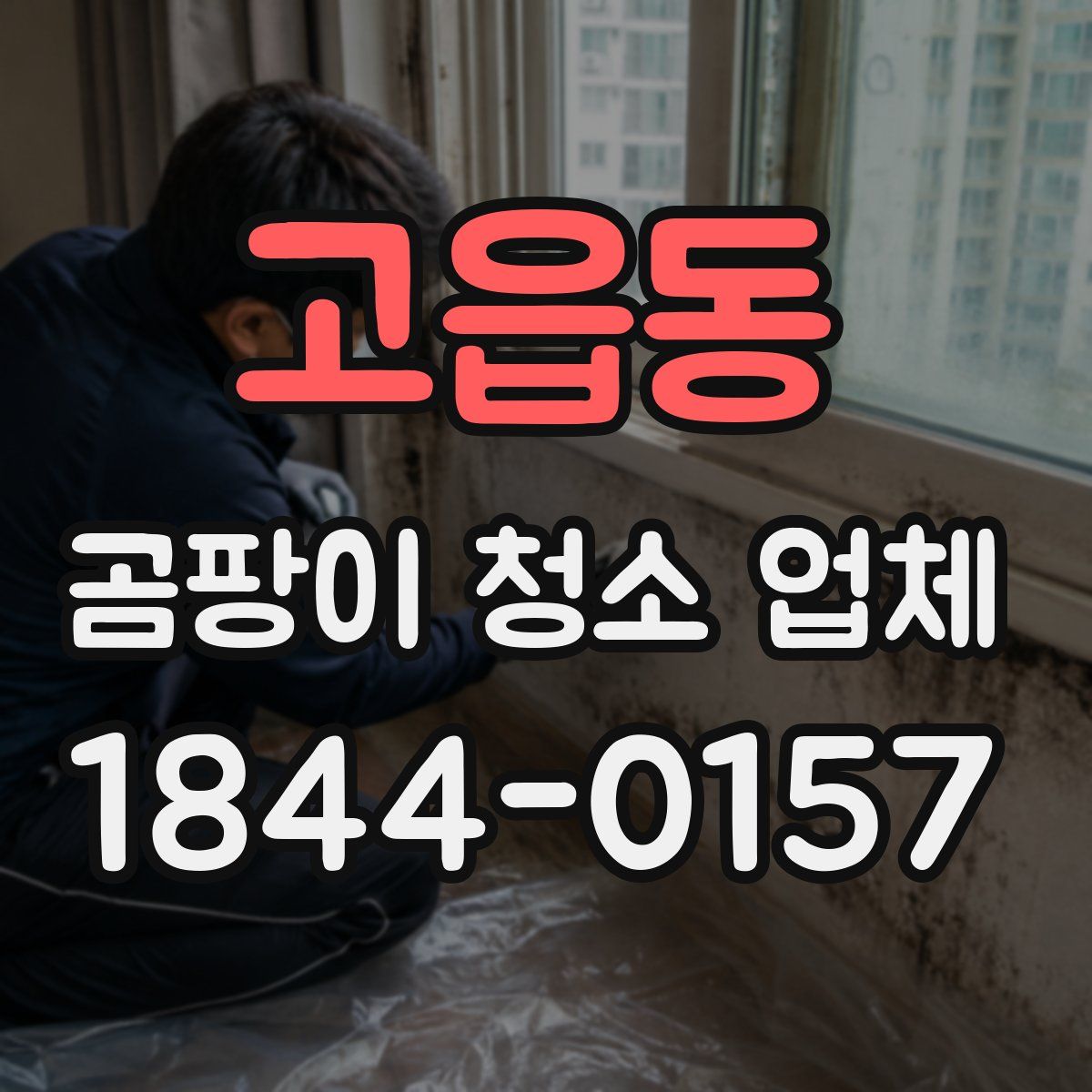 고읍동 곰팡이 청소 업체