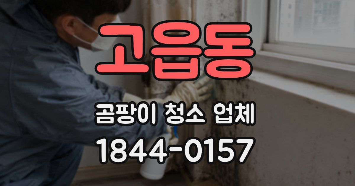 고읍동 곰팡이 청소 업체