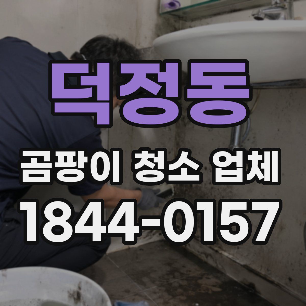 덕정동 곰팡이 청소 업체