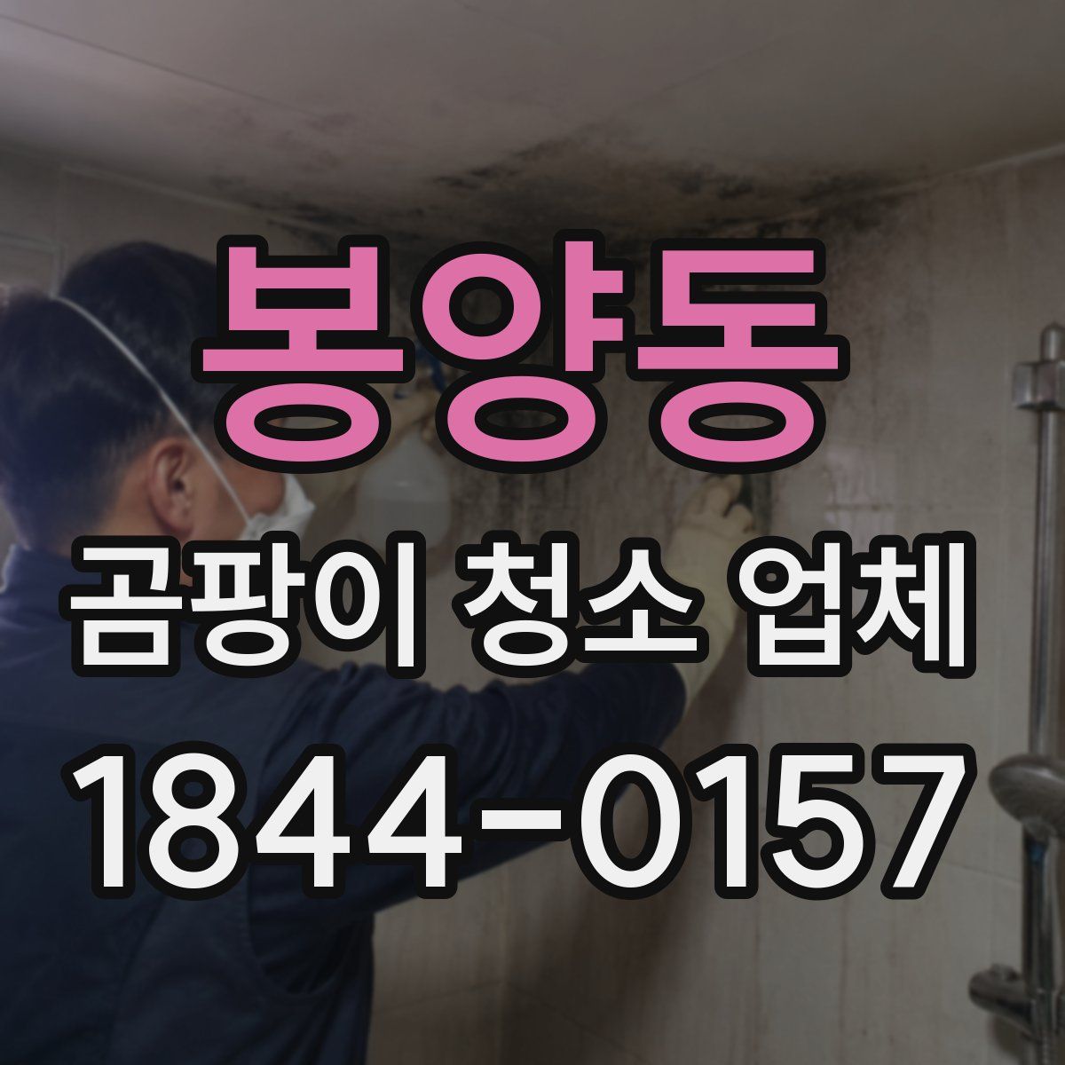 봉양동 곰팡이 청소 업체