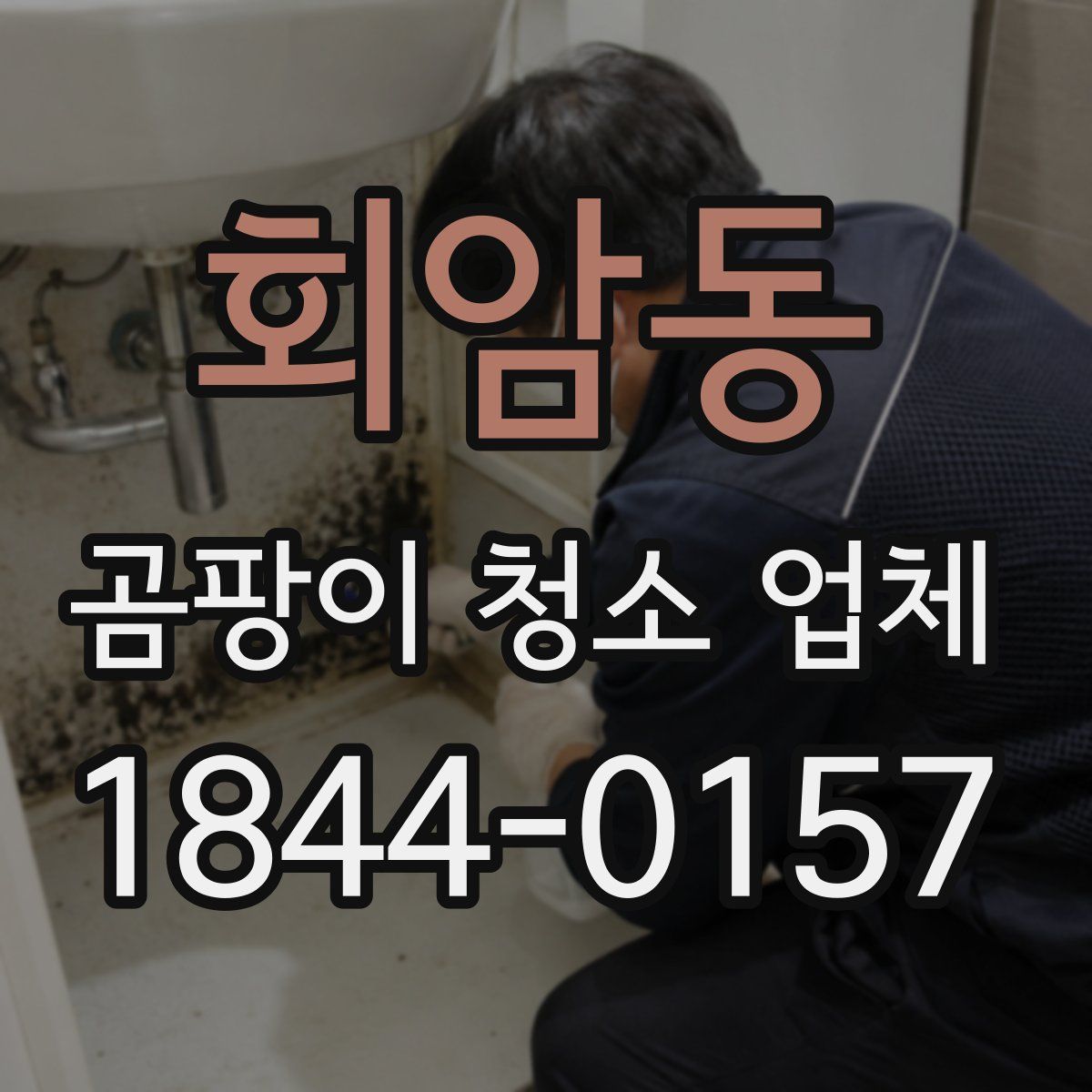 회암동 곰팡이 청소 업체