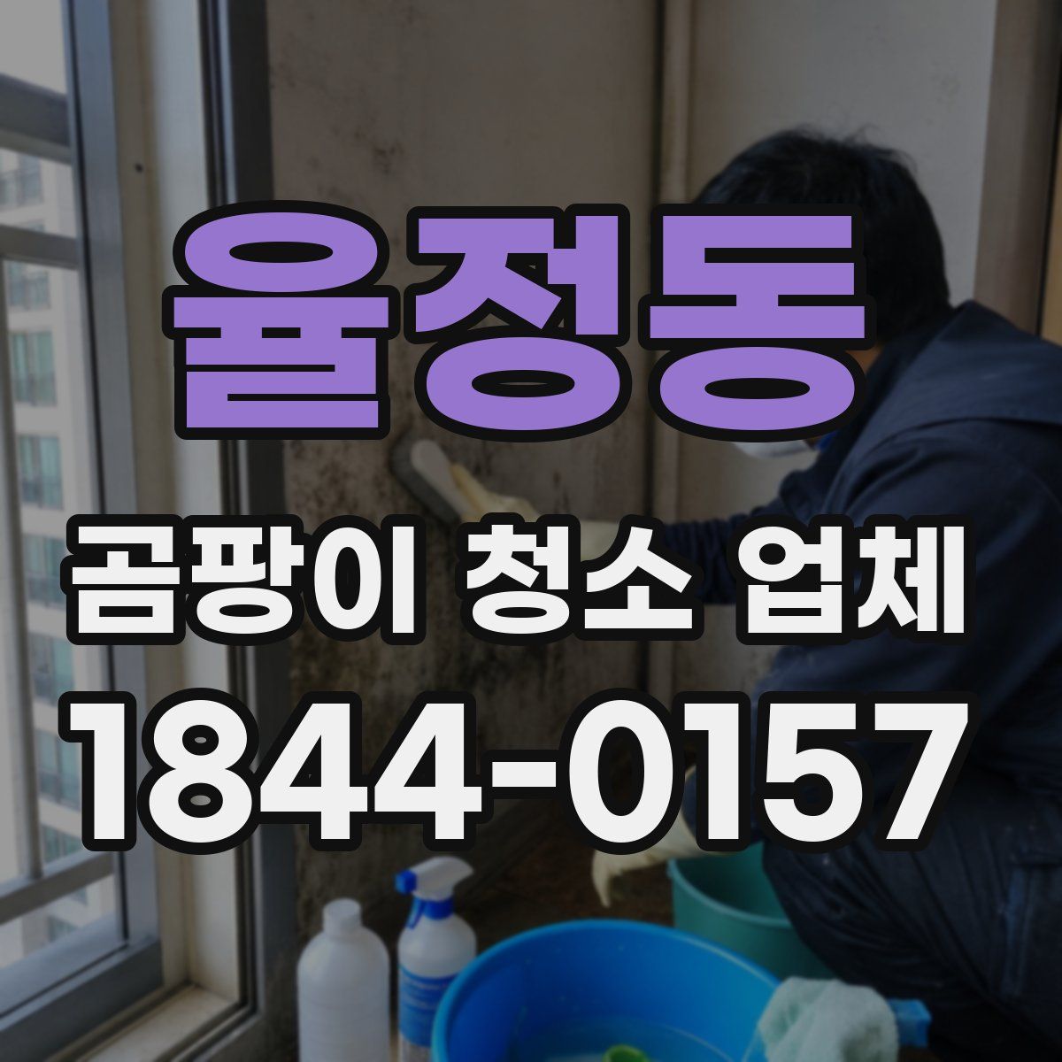 율정동 곰팡이 청소 업체