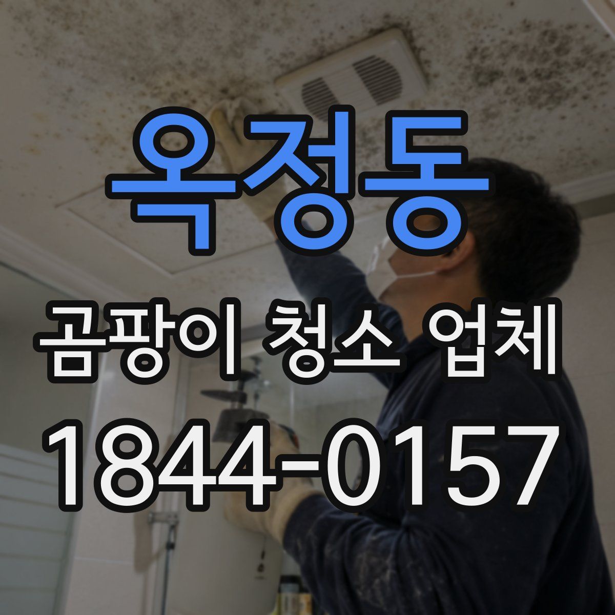 옥정동 곰팡이 청소 업체