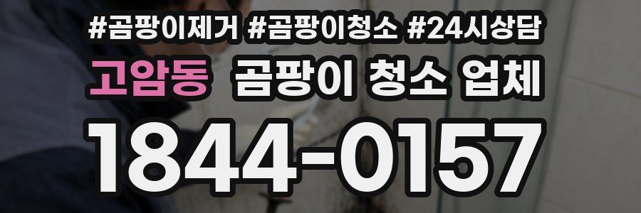 고암동 곰팡이 청소 업체