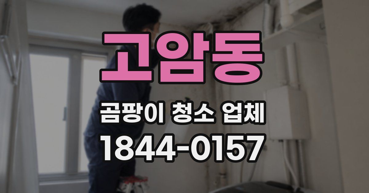 고암동 곰팡이 청소 업체