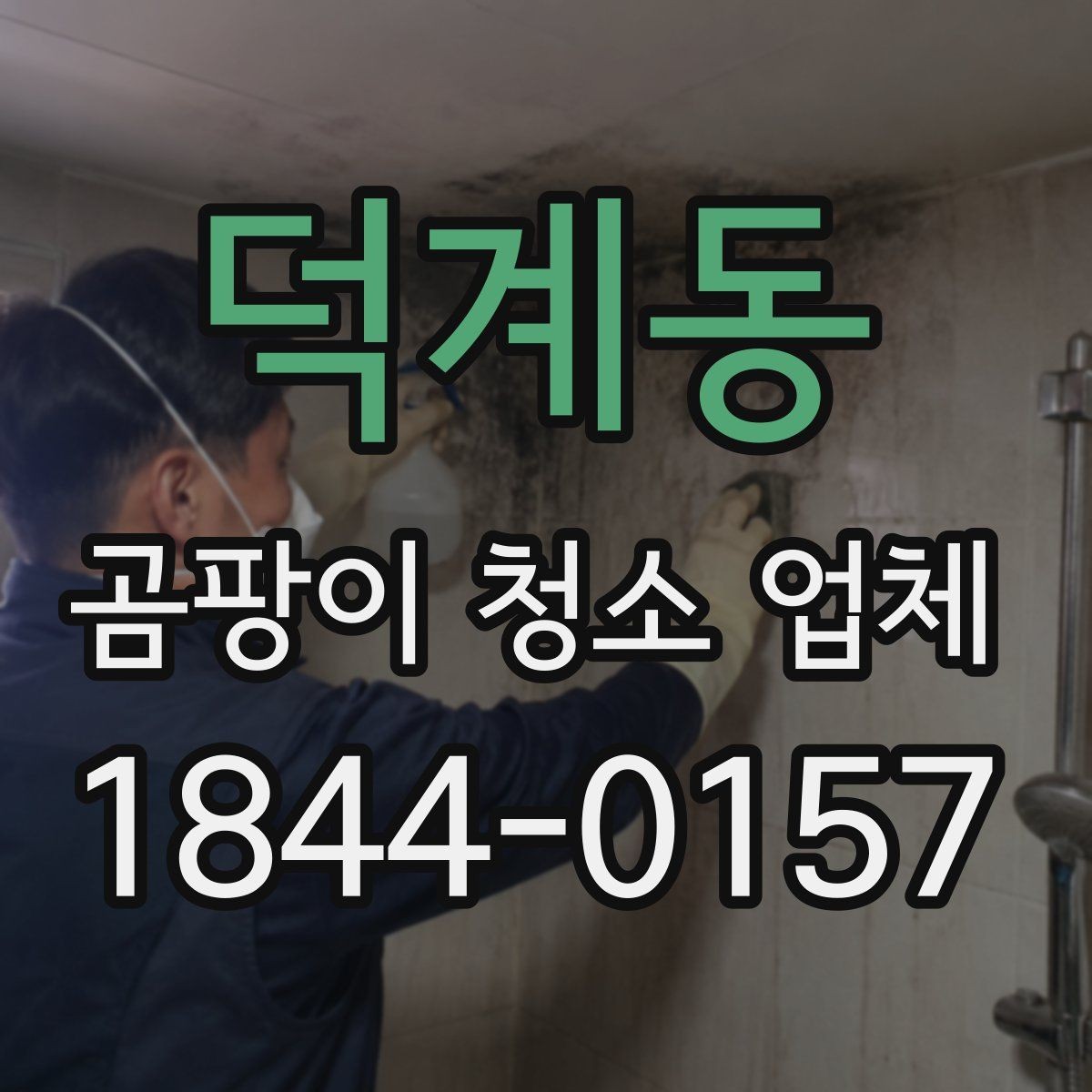 덕계동 곰팡이 청소 업체 침구와 매트리스에 번진 오염 대응