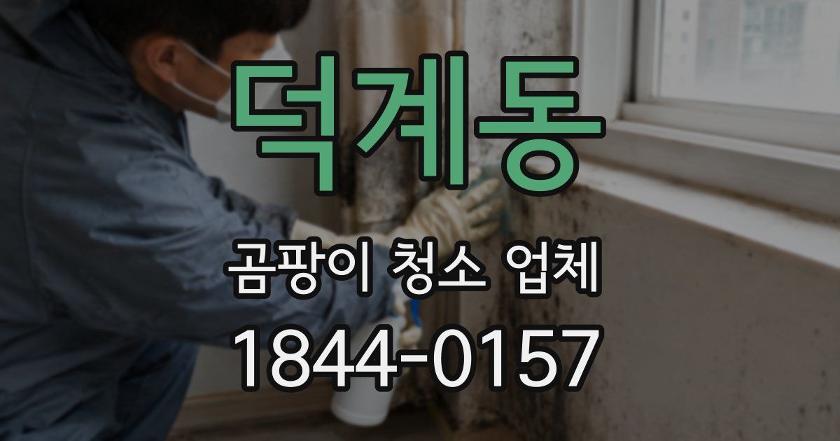 덕계동 곰팡이 청소 업체