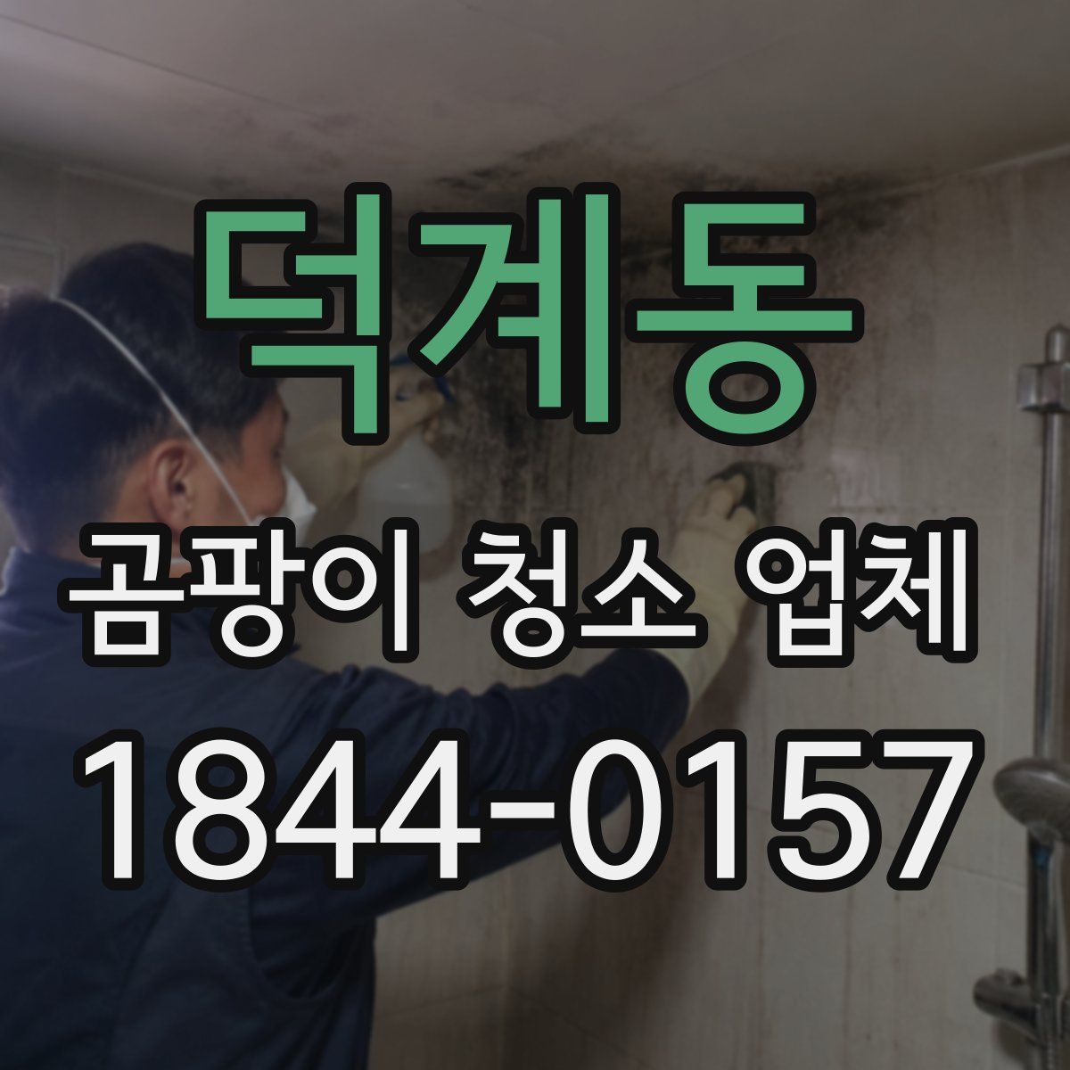 덕계동 곰팡이 청소 업체