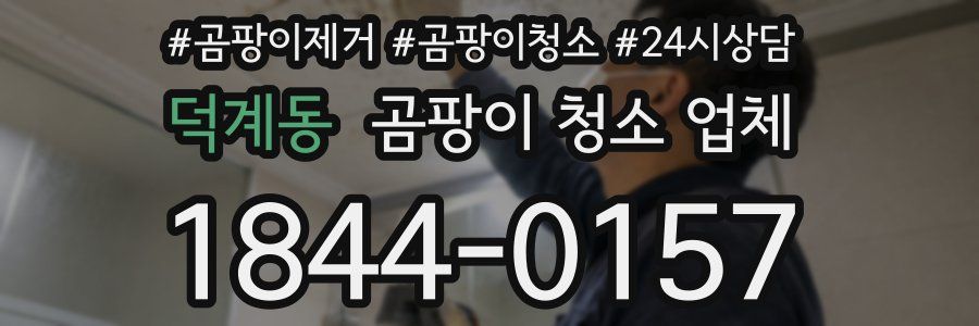 덕계동 곰팡이 청소 업체