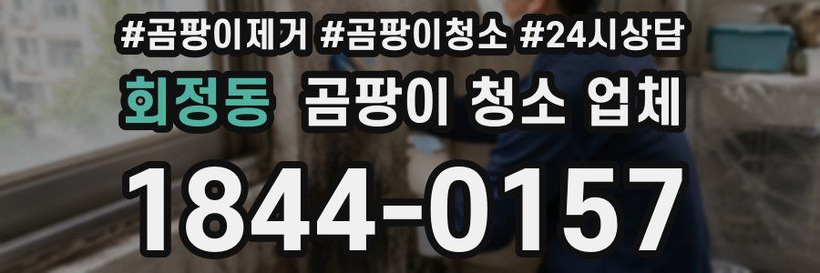 회정동 곰팡이 청소 업체