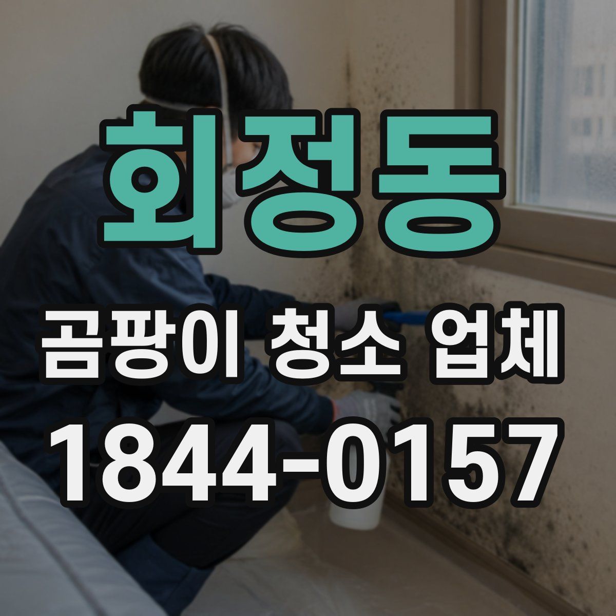 회정동 곰팡이 청소 업체