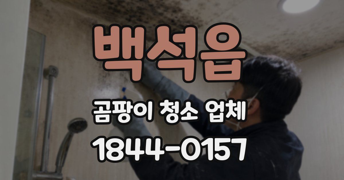 백석읍 곰팡이 청소 업체