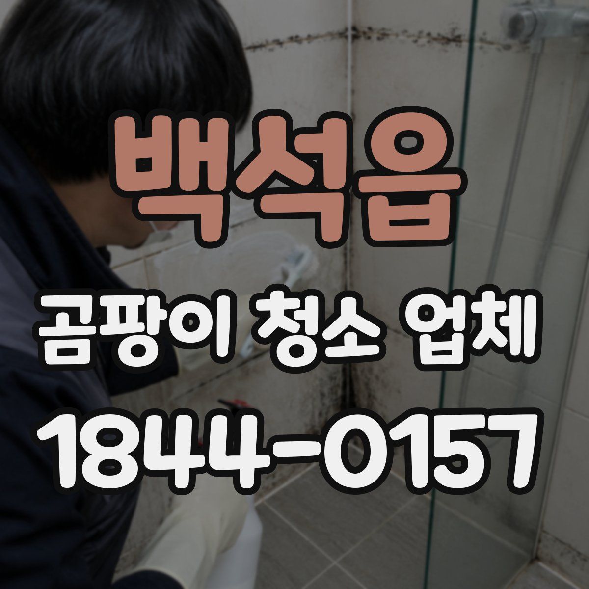 백석읍 곰팡이 청소 업체