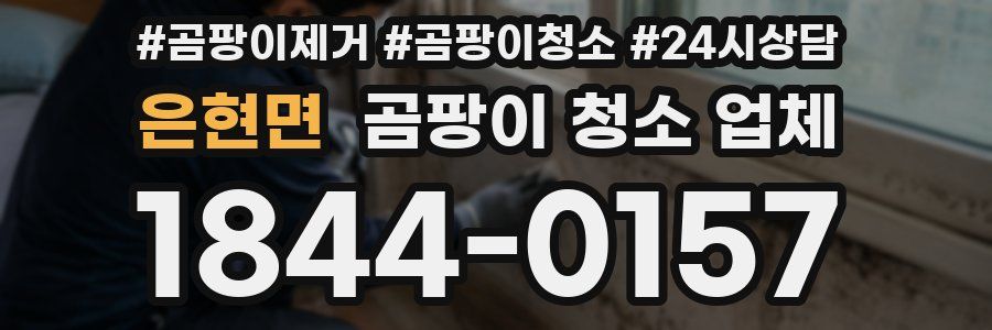은현면 곰팡이 청소 업체